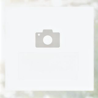 141. Пържено оризово фиде със зеленчуци, яйца и лук (500г)