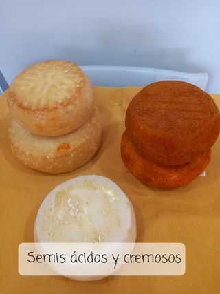 Queso De Cabra Semiacido 