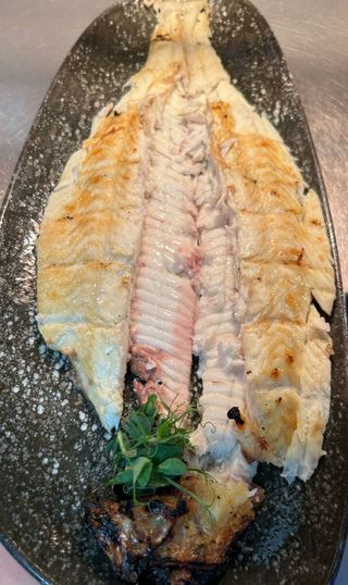 Sole la plita/Risotto Sofran