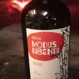 MODUS BIBENDI