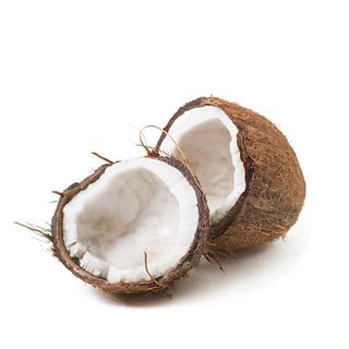cocco