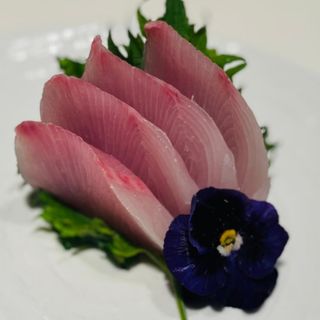 Sashimi Ricciola