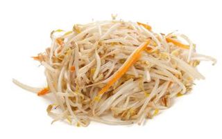 418 Germogli di soia