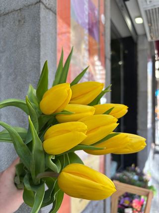 Ramo Tulipanes Amarillos