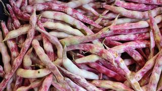 Fagioli freschi 1 kg