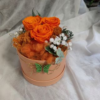 Flower Box Trajna ruža 45