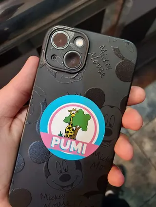2 Pegatinas PUMI