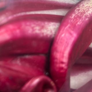 Radicchio trevigiano 200gr 