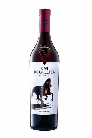 Caii de la Letea vol I   0.750ml
