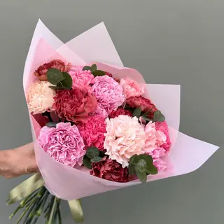 Clavel Rosa
