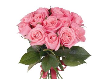 3 rose rosa ben confezionate