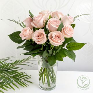 Douceur Nude - 11 Roses Roses Claires