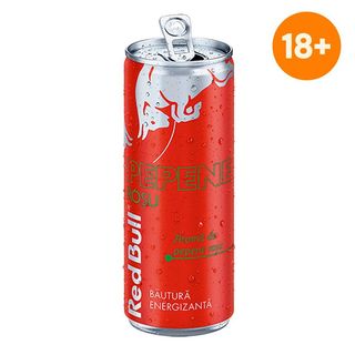 Red Bull Watermelon Edition 