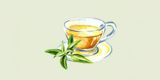Verveine
