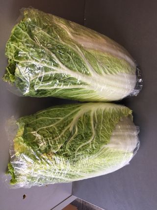 Салата айсберг