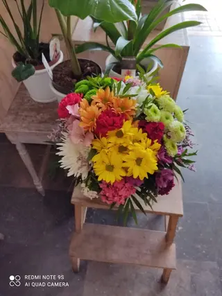 RAMO PRIMAVERAL