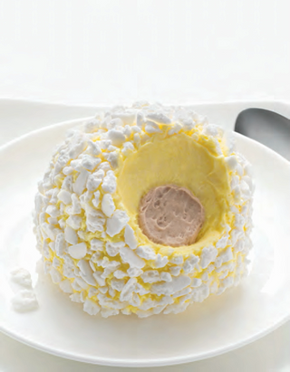 Tartufo bianco