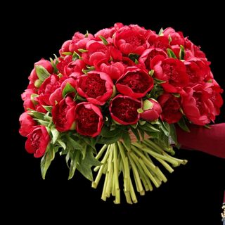 Ramo De 10 Peonias Granate Premium