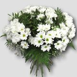 Ramo Diez Margaritas Blancas