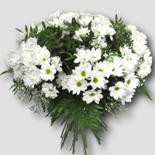 Ramo Diez Margaritas Blancas