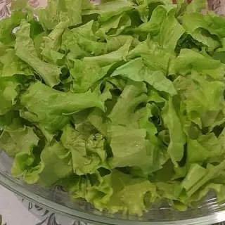 Salada de Alface