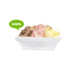 Tarrina de 500ml helado artesano