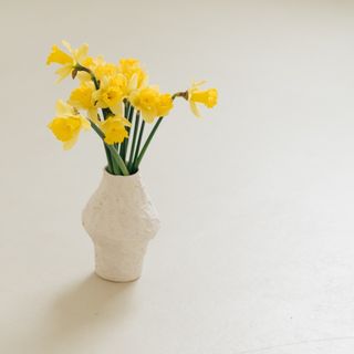 Ramo de 12 narcisos amarillos