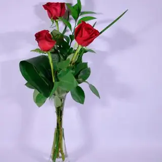 Rosas En Cristal
