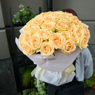 37 троянд Піч Аваланч