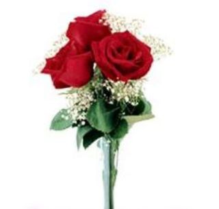 3 Trandafiri si gipsofila 