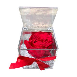 Rosa stabilizzata in cubo dí plexiglas  colori vari