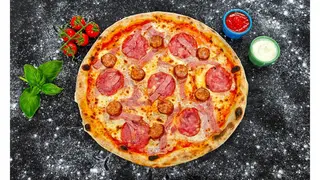 Carnivora