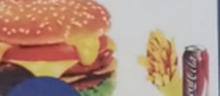 Double cheese burger