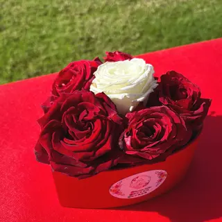 Petit cœur d’amour 
