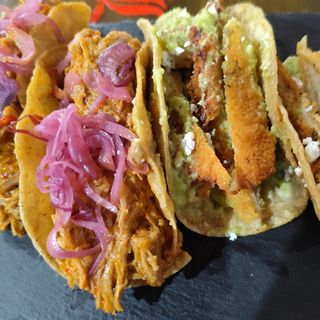 Tacos a tu Elección