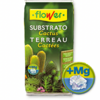 Sustrato Cactus & Suculentas 5L