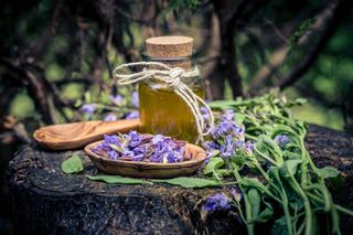 Domaći sok od žalfije 0.5l