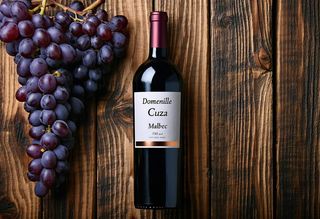 "Domeniile Cuza" Malbec (sec)