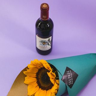 PACK GIRASSOL + VINHO TINTO