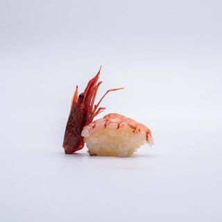 S86. Nigiri Akaebi red