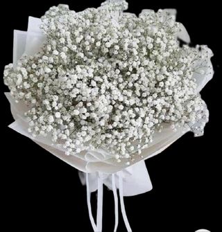 Buchet 25 fire gypsophilla
