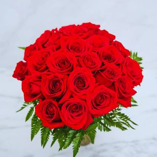 red 11