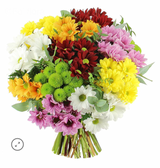 ფერადი ქრიზანთემა (10 ტოტი)