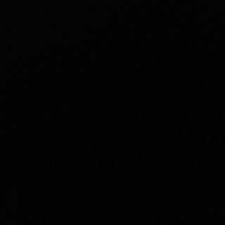 Bambú y Setas Chinas Salteadas