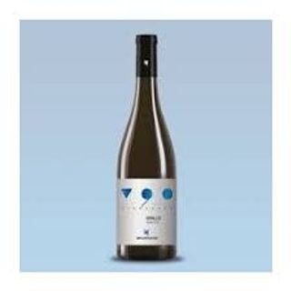 Vinovanta grillo