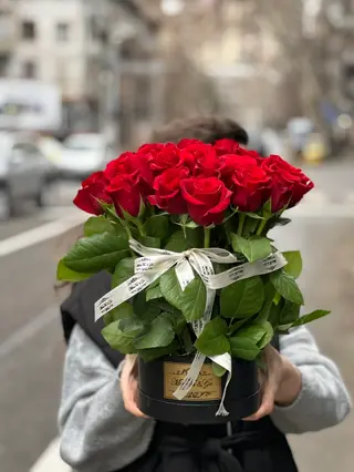ვარდი n8