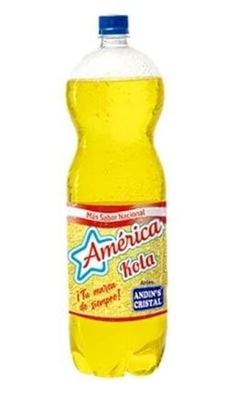 América kola  2 lt.