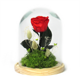 Cúpula Rosa Roja Preservada