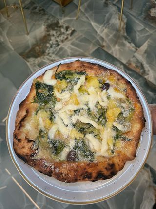 Montanara indivia