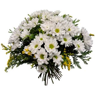 Ramo de Margaritas y Solidago